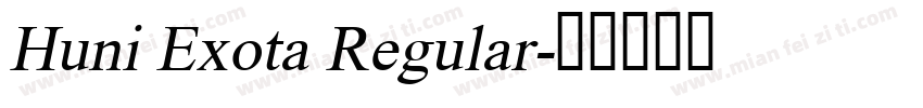 Huni Exota Regular字体转换